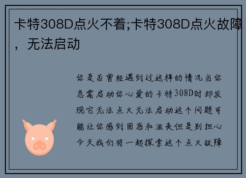 卡特308D点火不着;卡特308D点火故障，无法启动